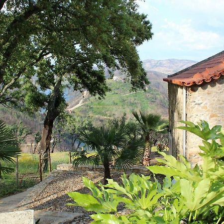 Oak Cottage Ferreira do Zêzere Exteriör bild